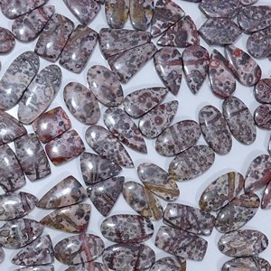High Quality Natural Leopard Skin Jasper Quartz Gemstone Wholesale Prices Gemstone Lot Pair Customizable Sizes Earrings High - Product Image 5