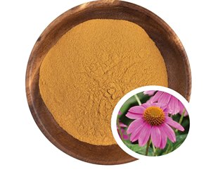 Extracto de Planta Herbal de Equinácea Purpurea, Rico en Antioxidantes Naturales, Fórmula Tradicional de Bienestar Herbal - Product Image 5