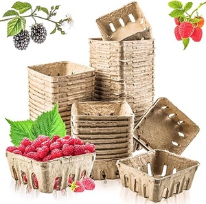 Nuevo Contenedor de Fibra Reciclada Sostenible para Frutas, Empaque sin Plástico, Compostable, Ecológico, Cesta de Pulpa Moldeada, Cero Desperdicio - Product Image 4