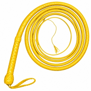Fouets décoratifs en cuir, artisanat professionnel du cuir, construction tressée de qualité supérieure, adaptés aux collectionneurs - Product Image 4