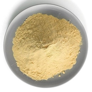 Probiotique Saccharomyces Cerevisiae de fabrication indienne, 5-20 milliards d'UFC/g, pour applications alimentaires et végétales, en vente - Product Image 1