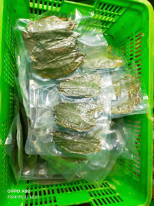 100% feuilles de corossol nature/feuilles de graviola/thé Guyabano/mme Lima - Product Image 4