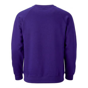 Sweat-shirt à capuche décontracté pour homme 100 % coton, en molleton épais, violet royal, avec lettrage, vente en gros - Product Image 6