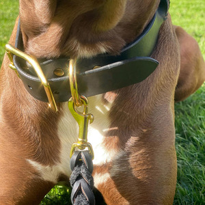 Collar de perro de cuero genuino trenzado de primera calidad, ajustable y cómodo, accesorio para mascotas para entrenamiento, paseos y uso diario, en venta. - Product Image 3