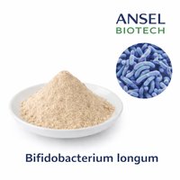 Poudre de Bifidobacterium Longum d'Ansel Biotech, provenant du Gujarat