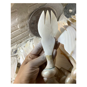 Cuillère artisanale en nacre avec manche en coquillage, écologique, non toxique, de luxe, vintage, décorative, pour servir des desserts, coffret cadeau - Product Image 6