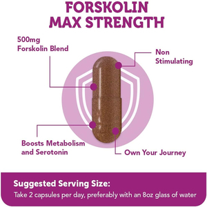 High quality Forskolin Max Strength Forskohlii Root Extract Supports <b>Metabolism</b> Weight Management & energy boost - Product Image 6