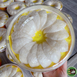 Nido de Pájaro Comestible Hecho con Material Natural de Nido de Golondrina Seco para Preparación de Sopas y Postres 99 Dold Data de Vietnam - Product Image 1