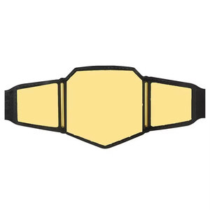 Ceinture de lutte tendance et haut de gamme 2026, taille adulte, avec plaque métallique, pour collectionneurs et fans - Product Image 1