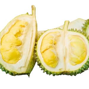 100% Natural Vietnam Frozen Durian 99 Gold Data-¡Precio asequible, calidad superior, aroma que emociona y altos estándares! - Product Image 2
