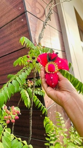 Elegante Decoración Festiva Hecha a Mano con Adorno de Plumas de Pavo Real y Tela de Terciopelo Rojo, Cubierta Tradicional para Pooja Kalash - Product Image 2