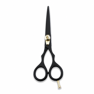 Tijeras Profesionales para Recortar el Cabello, Rectas, Extremadamente Afiladas, con Mango de Acero Inoxidable, Tijeras de Peluquería - Product Image 1
