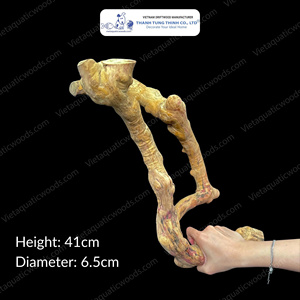 ที่นั่งนกไม้จาวา ที่ยืนเล่นสำหรับนก ที่ยืนต้นไม้สำหรับนกแก้ว ของเล่นนก อุปกรณ์เสริมนก เป็นมิตรกับสิ่งแวดล้อม มีหลายขนาด ผลิตในเวียดนาม - Product Image 3