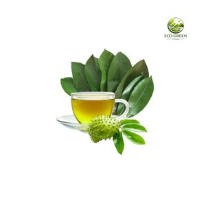 Fournisseur Vietnamien de Feuilles de Graviola Séchées, Feuilles de Corossol, Thé Herbal, OEM, Marque Privée - Product Image 2