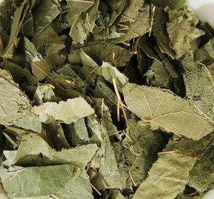 Hojas de Papaya Secas Premium de Origen Vietnam, Secado por Aire Caliente, Estándar de Exportación, Precio Competitivo, Etiqueta OEM - Product Image 6