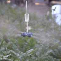Tuyau d'irrigation goutte à goutte en plastique blanc à quatre voies pour systèmes d'arrosage efficaces des fermes, jardins, serres, pelouses et maisons agricoles