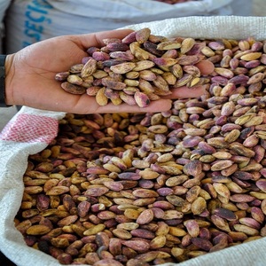 Pistaches fraîches en gros, achat en vrac de noyaux de pistache au prix le plus avantageux du marché - Product Image 5