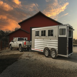 Remorques Premium pour Chevaux : Transport Équin Sécurisé avec Construction Robuste, Intérieurs Spacieux et Performances Routières Fiables - Product Image 6