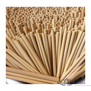 MEILLEURES VENTES |   Pailles en bambou écologiques réutilisables avec kit de brosses de nettoyage pour les boissons Smoothie et Bubble Tea de Blue Lotus - Product Image 1
