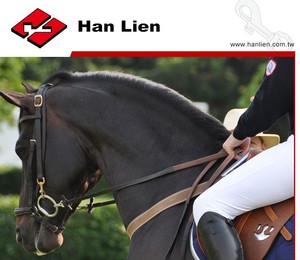 Hebilla de chapa de acero inoxidable para caballos Producto de hardware equino Premium - Product Image 2