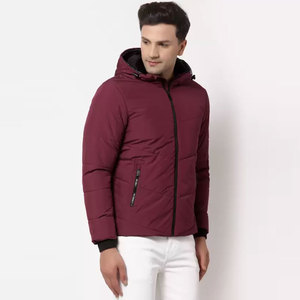 Blouson matelassé personnalisé pour homme, style sport d'hiver, avec capuche décontractée, fermeture éclair, en tissu tissé uni, fourniture ODM, collection automne - Product Image 2