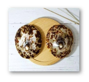 Concha de Limpet Genuina, Recogida Naturalmente del Mar, Concha Decorativa para Manualidades, Decoración del Hogar y Aplicaciones Creativas - Product Image 5