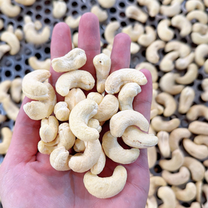 Best Quality Cashew Nuts Nuts Kernels Customized Packaging Cashew Kernel SANTIGO - Product Image 1