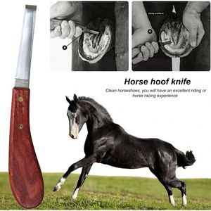 Cuchillo para pezuñas de caballo de acero inoxidable con mango de madera para el cuidado equino y uso de herradores, herramientas para pezuñas en caja de madera 2026 EN VENTA - Product Image 1