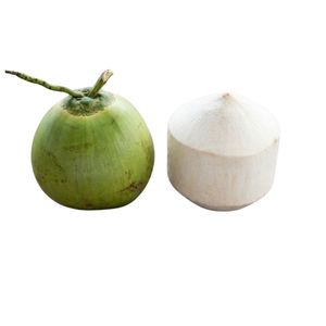 มะพร้าวเขียวสดเกรดส่งออกจากฟาร์มเวียดนาม - Product Image 1