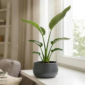 Elegante Maceta de Metal para Flores, para Sala de Estar u Oficina, Maceta Premium para Suculentas de Sobremesa, Moderna Maceta Decorativa, Regalo para el Hogar - Product Image 6