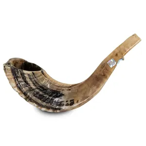 <b>Buffalo</b> <b>Horn</b> Natural Shape Polished Rustic Craft Home Decoration Animal Theme Durable Handmade <b>Horn</b> - Product Image 4