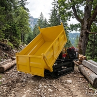 Mini-dumper sur chenilles en caoutchouc diesel 4x4 certifié CE, capacité 1, 2 ou 3 tonnes (1000 kg), pour tracteur de jardin et usage agricole compact