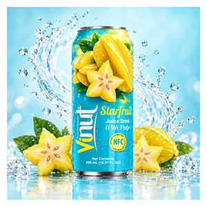 Bebida de Aloe Vera con Pulpa 500ml en Caja, NFC, Carambola, Refrescante, Lista para Beber, Marca Privada, Entrega Rápida, Recién Exprimida - Product Image 2