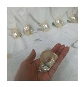 Anneaux de serviette Turbo SHELL polis blancs de haute qualité utilisés pour les décorations de mariage et les cadeaux de fête - Product Image 4