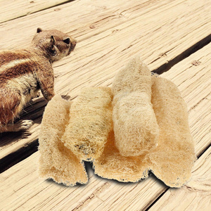 Jouets à mâcher naturels et biologiques en loofah pour lapins et chats, petite taille, vente en gros, export direct de la ferme du Vietnam, cultivés en toute sécurité pour les animaux de compagnie - Product Image 1