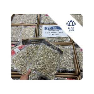 Anchois séchés les plus vendus pour la préparation de soupes et bouillons, ingrédient de cuisine pour la restauration, provenance Vietnam. - Product Image 1