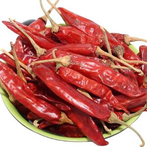 Teja พริกแดงมีก้านพร้อมส่งออก - Product Image 3