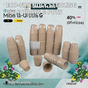 Bandeja de Embalaje Desechable de Pulpa de Bagazo de Caña de Azúcar, Bandeja de Alimentos Compostable de Caña de Azúcar para Carne o Verduras, Supermercados - Product Image 4