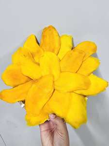Rodajas de Mango Deshidratado Sin Azúcar Añadido, Textura Suave y Masticable, Grado de Exportación, Mango Deshidratado Natural de Vietnam - Sra. Tarina - Product Image 3