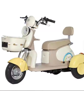 Triciclo Eléctrico Urbano con Motor Trasero de 500W, 3 Velocidades, 48V 12Ah, Cuadro de Acero, Biplaza para Adultos - Product Image 3