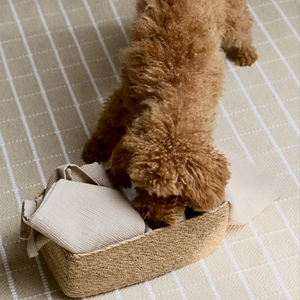 Seagrass <b>basket</b> divided into 2 compartments Handmade <b>Storage</b> <b>Basket</b> Wholesale eco-friendly Made in Vietnam - Product Image 3