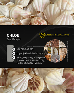 Coquilles de palourde naturelles du Vietnam pour la décoration et l'artisanat, quantité en gros à prix compétitif - Product Image 6