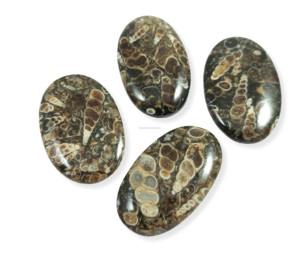 <b>Top</b> Turritella Agate Gemstone Customize Size Loose Precious Turritella Agate Cabochon Mix Shape For Making Jewelry - Product Image 1
