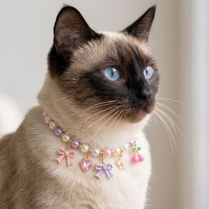 Collar de Perlas para Perro con Cuentas de Macaron, Collar Personalizado con Colgante para Mascotas, para Marcas de Comercio Electrónico y Redes Sociales - Product Image 2