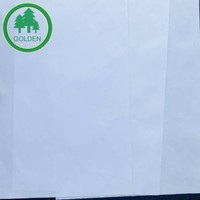 Papier couché léger 80 g/m², feuilles et rouleaux de papier LWC pour impression sur le marché brésilien