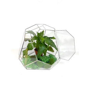 Terrario de Vidrio con Marco de Latón para Plantas Aéreas, Terrario Geométrico Piramidal de Vidrio Teñido al por Mayor, Decoración para el Hogar - Product Image 4
