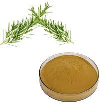 Poudre de feuilles de romarin en vrac, qualité supérieure, poudre de romarin biologique pour les soins des cheveux et de la peau, provenant d'Inde - Product Image 4