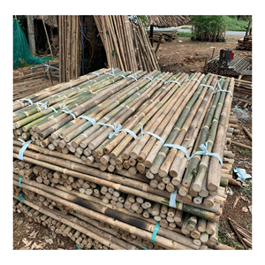 Poteau en bambou naturel fabriqué à partir de bambou naturel pour la construction de cadres, la décoration de jardins et la structure de meubles, Vietnam - Product Image 1