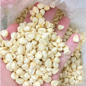 Excelente Opción, Buen Estándar, Precio Económico, Semillas de Maíz Ceroso Orgánicas Secas para Cocina Saludable, Cereales, Industria de Snacks, a Granel - Product Image 5