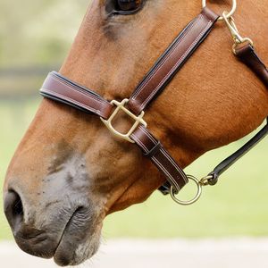 Licol pour cheval en cuir indien teint à la main de qualité supérieure avec boucle en laiton, rembourrage doux en cuir de vache, produits en cuir de haute qualité - Product Image 4